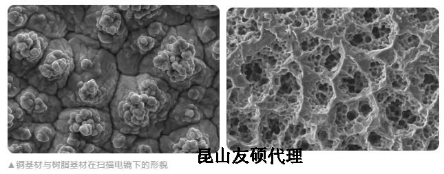 沙坪坝蔡司沙坪坝扫描电镜