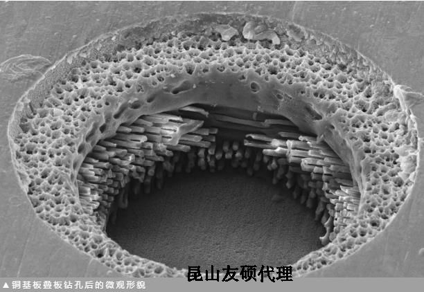 沙坪坝蔡司沙坪坝扫描电镜